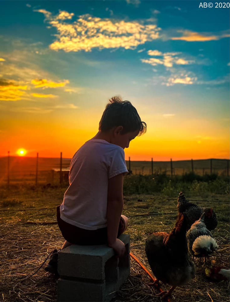 Photo of Boy at Sunset
